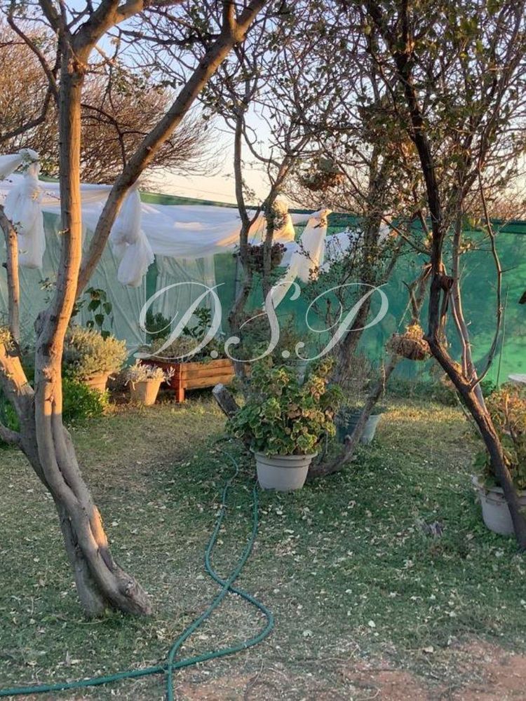 main house - garden area