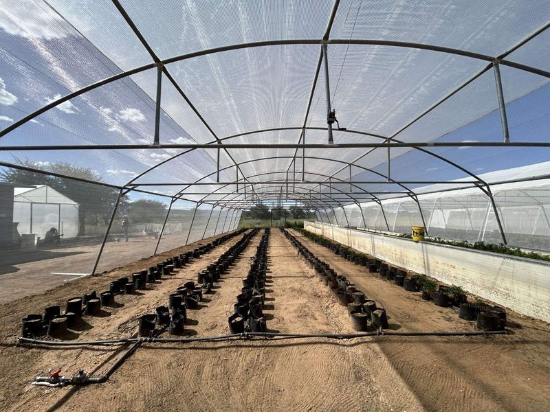 Agricultural plot- Ondekaremba Estate - Photo 4