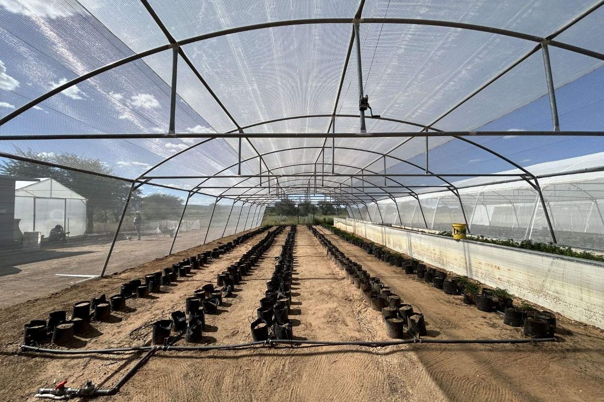 Agricultural plot- Ondekaremba Estate - Photo 4