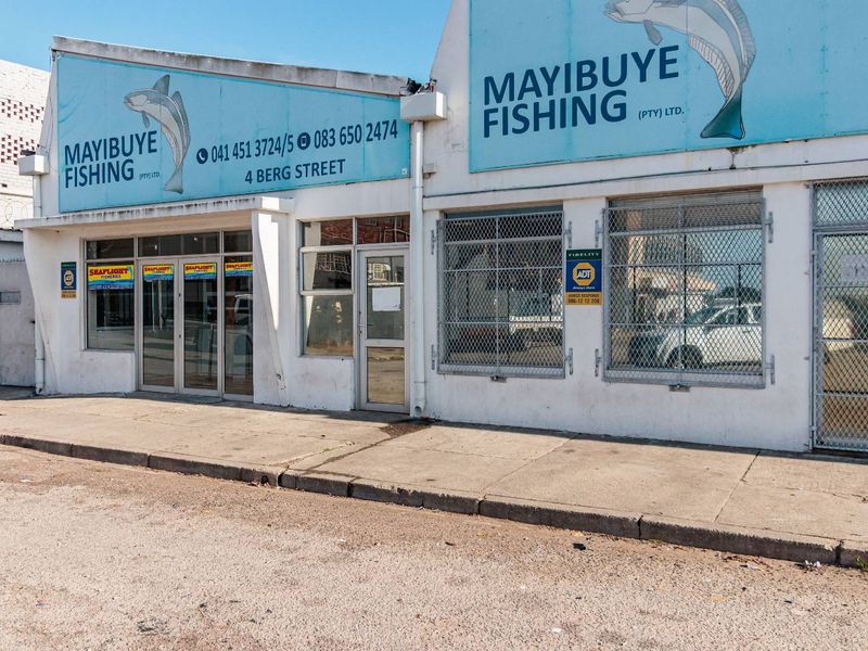 GREAT COMMERCIAL AND RETAIL PROPERTY - Photo 1