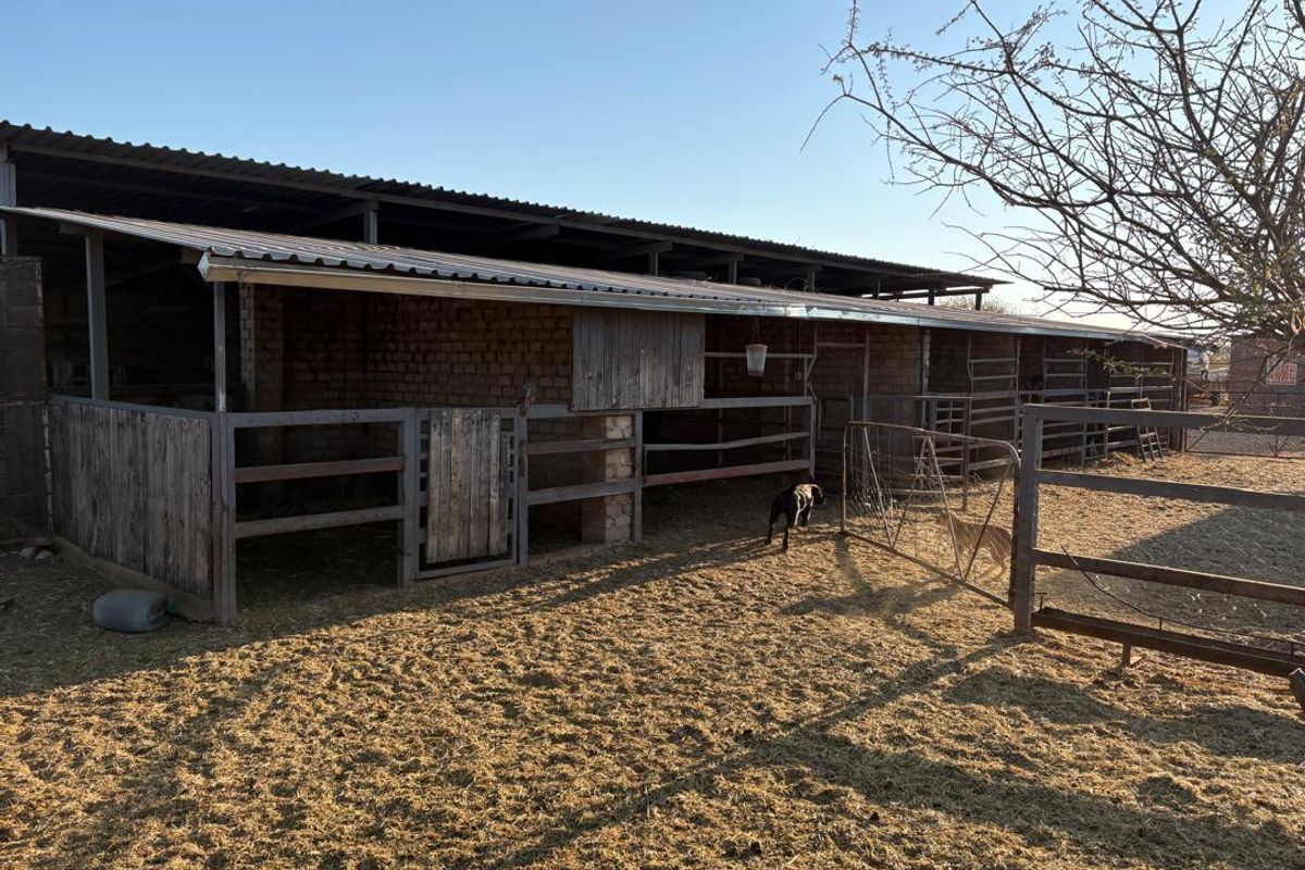 Grootfontein Farm For Sale - Photo 4