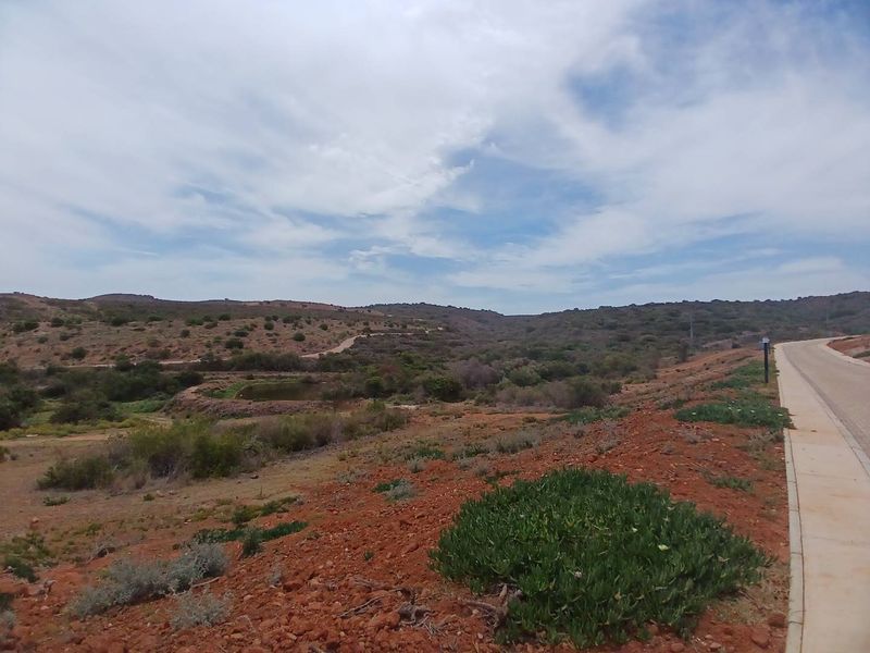 Exclusive 500m2 Stand with Dam Views in Outeniquasbosch Wildlife Estate - Photo 7