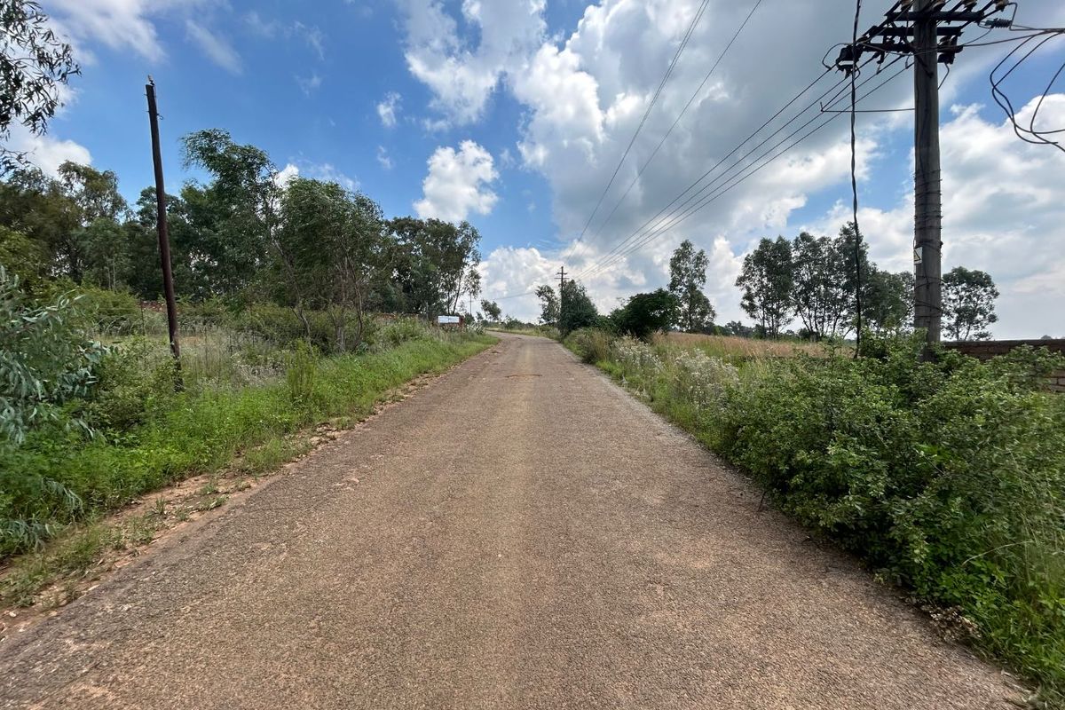 A view of the access road leading to the farm property, featuring overhead power lines and surrounding natural vegetation.