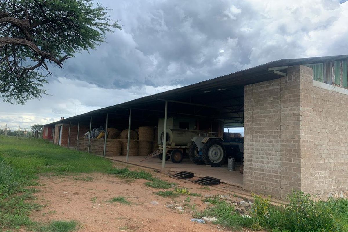 Well established game / hunting farm, Otavi - Photo 5