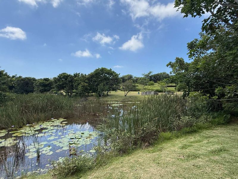 Manor Estate Vacant Land - Photo 7