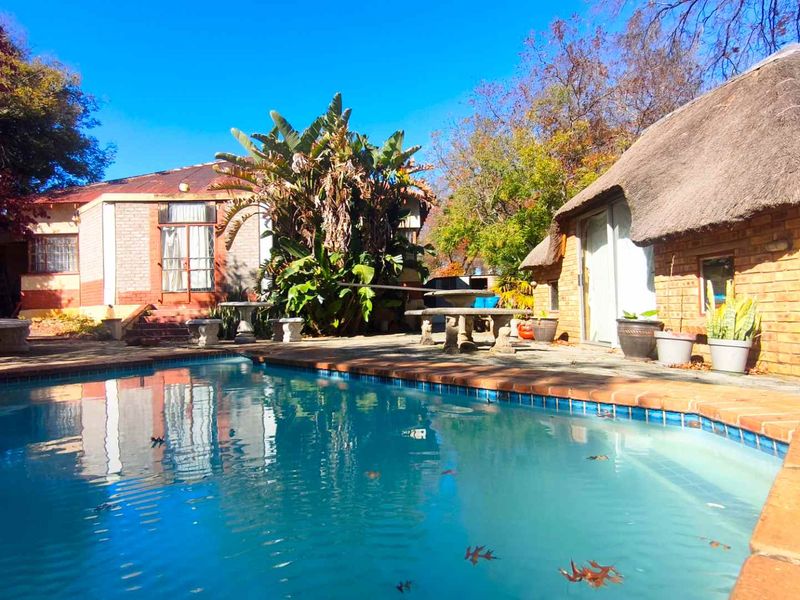 Outdoor pool area featuring a swimming pool with brick coping, surrounded by a paved patio and a structure with a traditional thatched roof.