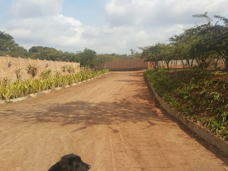 A Caravan Farm for sale!!! - Photo 9