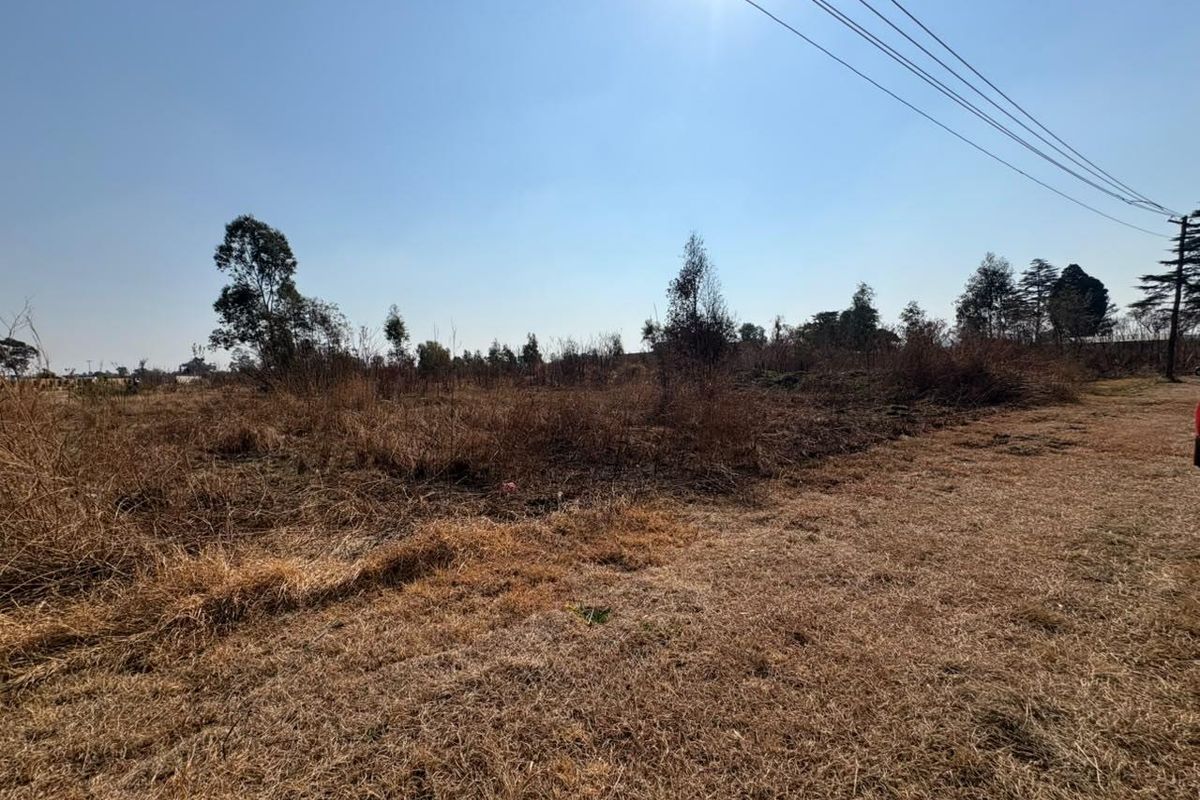 A view of the vacant commercial land featuring dry grass and overhead power lines.