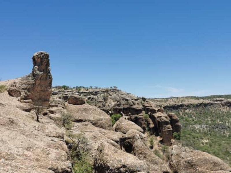 Escape to nature with this incredible 2500Ha farm — the perfect investment for a lodge. - Photo 3