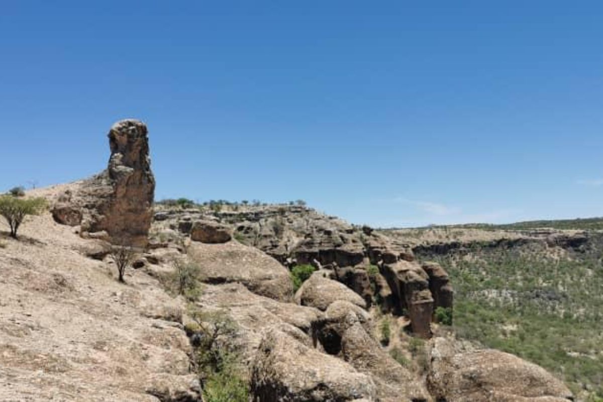 Escape to nature with this incredible 2500Ha farm — the perfect investment for a lodge. - Photo 3