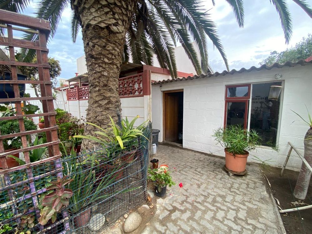 Inner courtyard garden and storeroom
