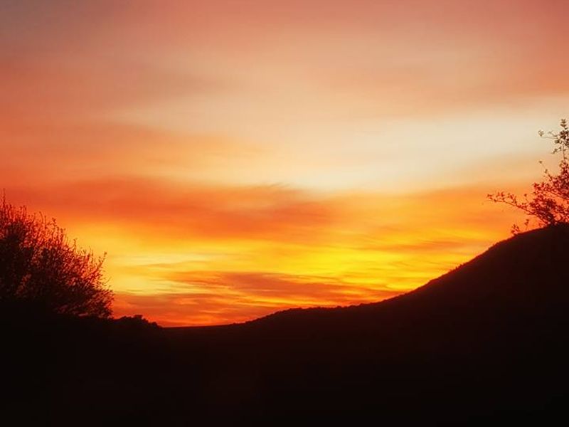 Tranquility with a View - Photo 1