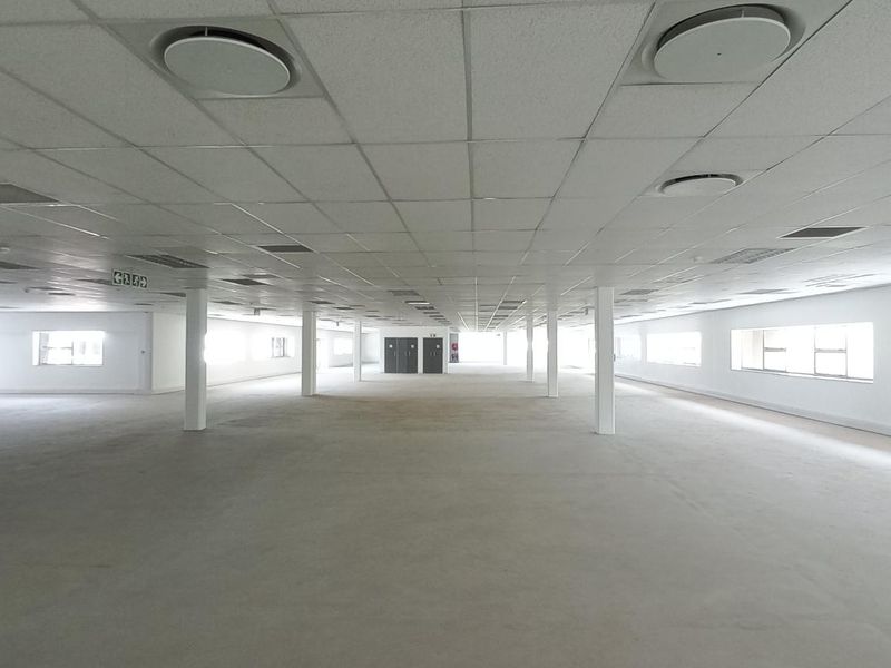 A large, open-plan office space featuring a suspended ceiling, recessed lighting, and expansive windows providing ample natural light.