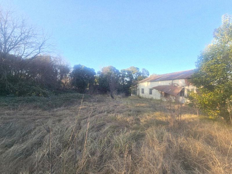 Property with Exceptional Renovation Potential - Photo 4