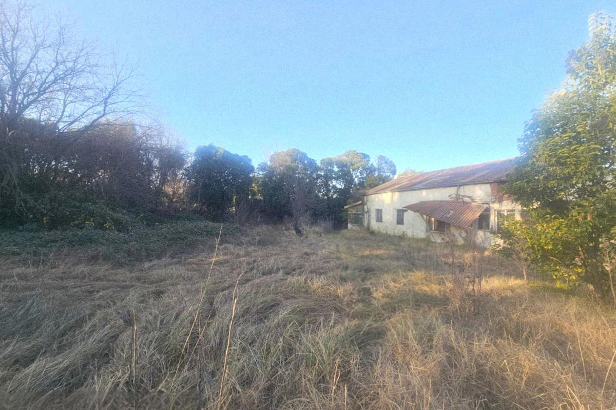 Property with Exceptional Renovation Potential - Photo 4