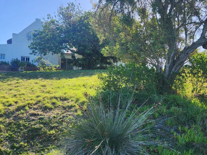 ATTRACTION FOR NATURE AND WILD LIFE ANIMAL LOVERS - Photo 4