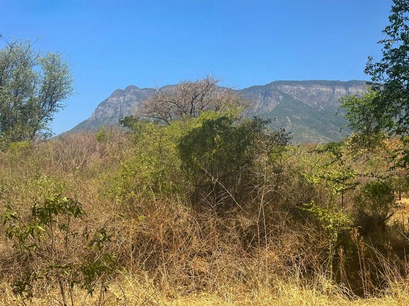 Vacant Stand with Mountain views - Photo 4