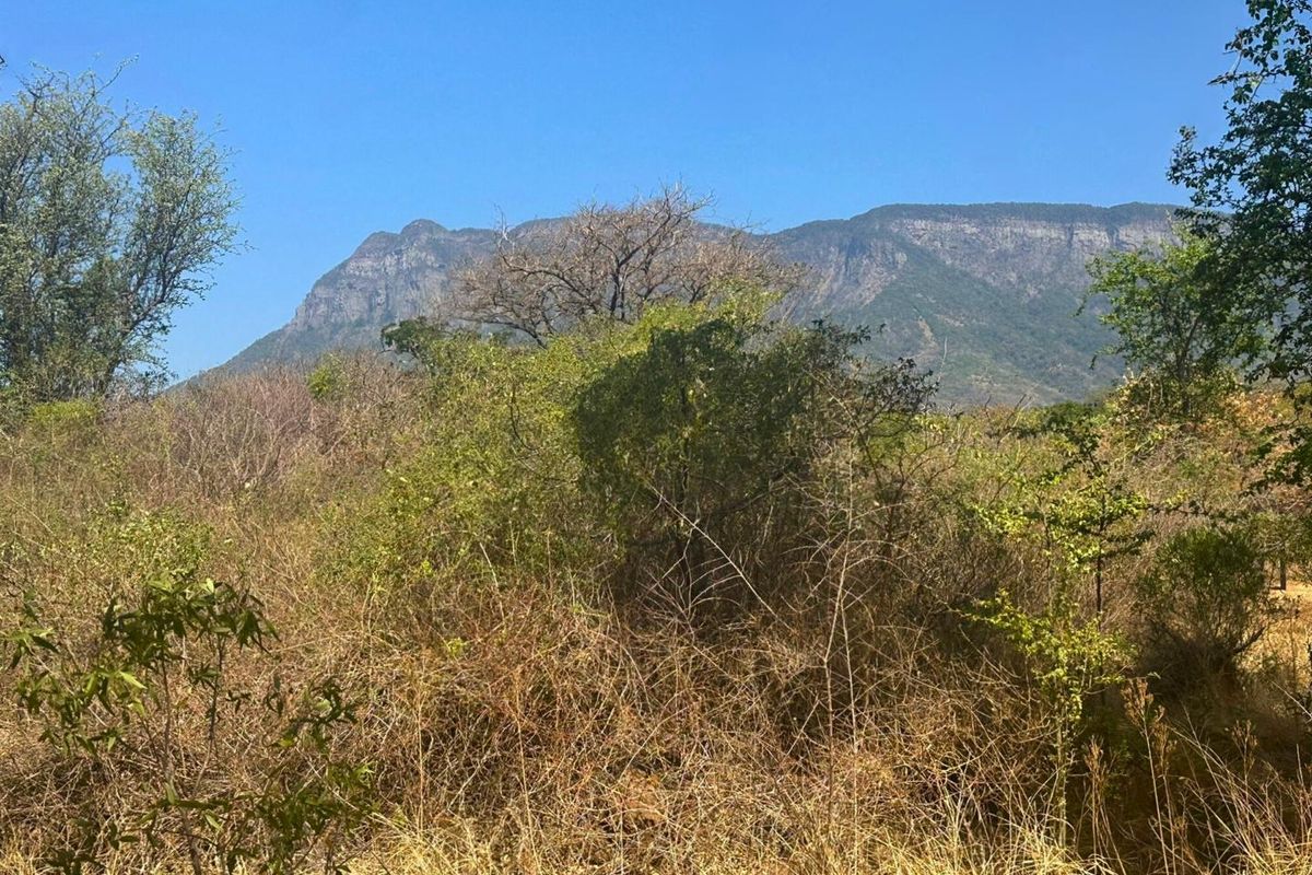 Vacant Stand with Mountain views - Photo 4