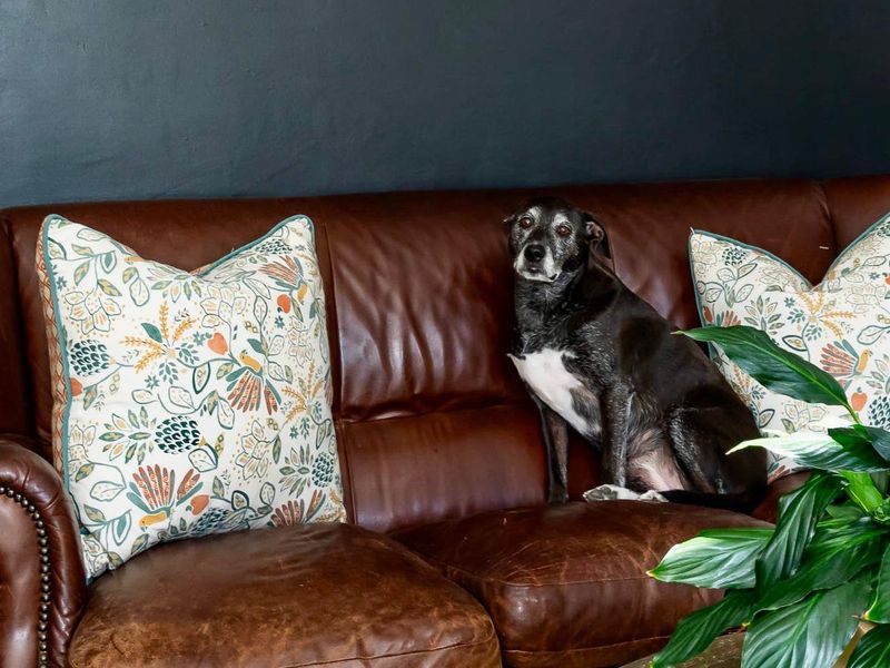 A MODERN DESIGN MASTERPIECE - Photo 10