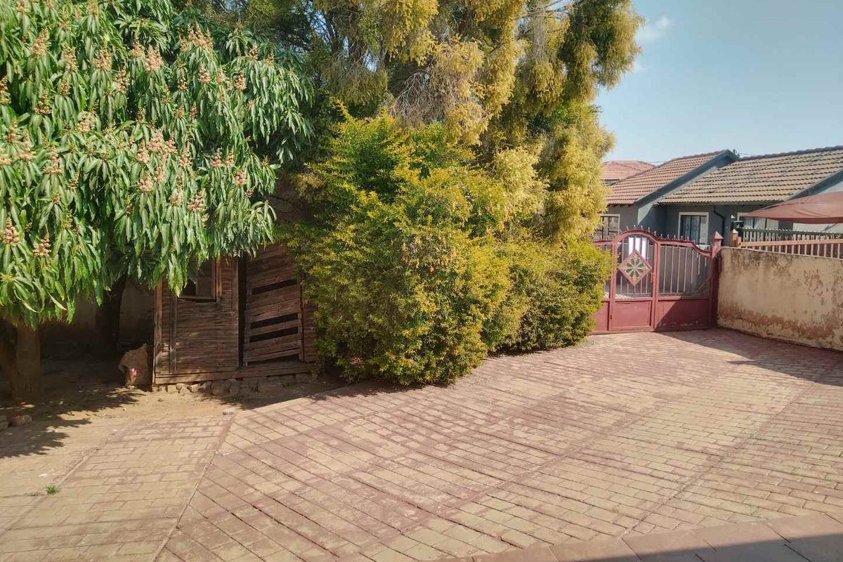 A paved rear courtyard area featuring a metal gate, boundary wall, and a small wooden storage shed surrounded by mature trees and shrubs.