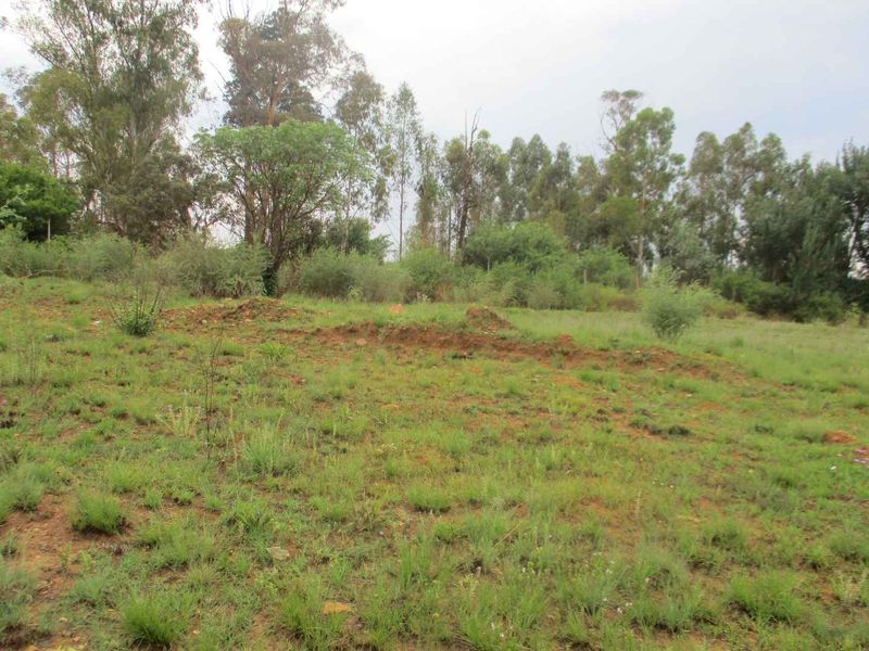 A view of a vacant residential plot featuring natural grassland and mature trees, offering a blank canvas for future development.