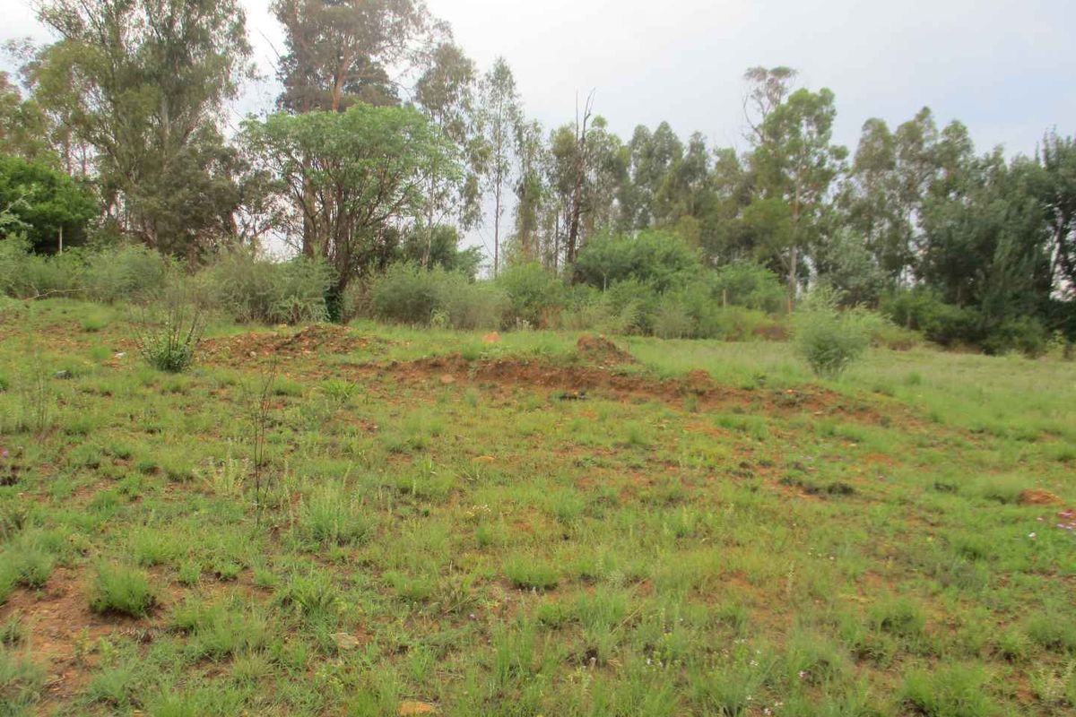 A view of a vacant residential plot featuring natural grassland and mature trees, offering a blank canvas for future development.
