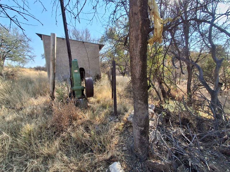 A view of an outbuilding on the property grounds, surrounded by overgrown vegetation and natural landscape.