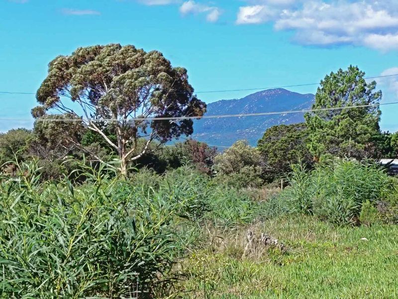 Where Mountains Meet Magnificent Sunsets - Photo 5