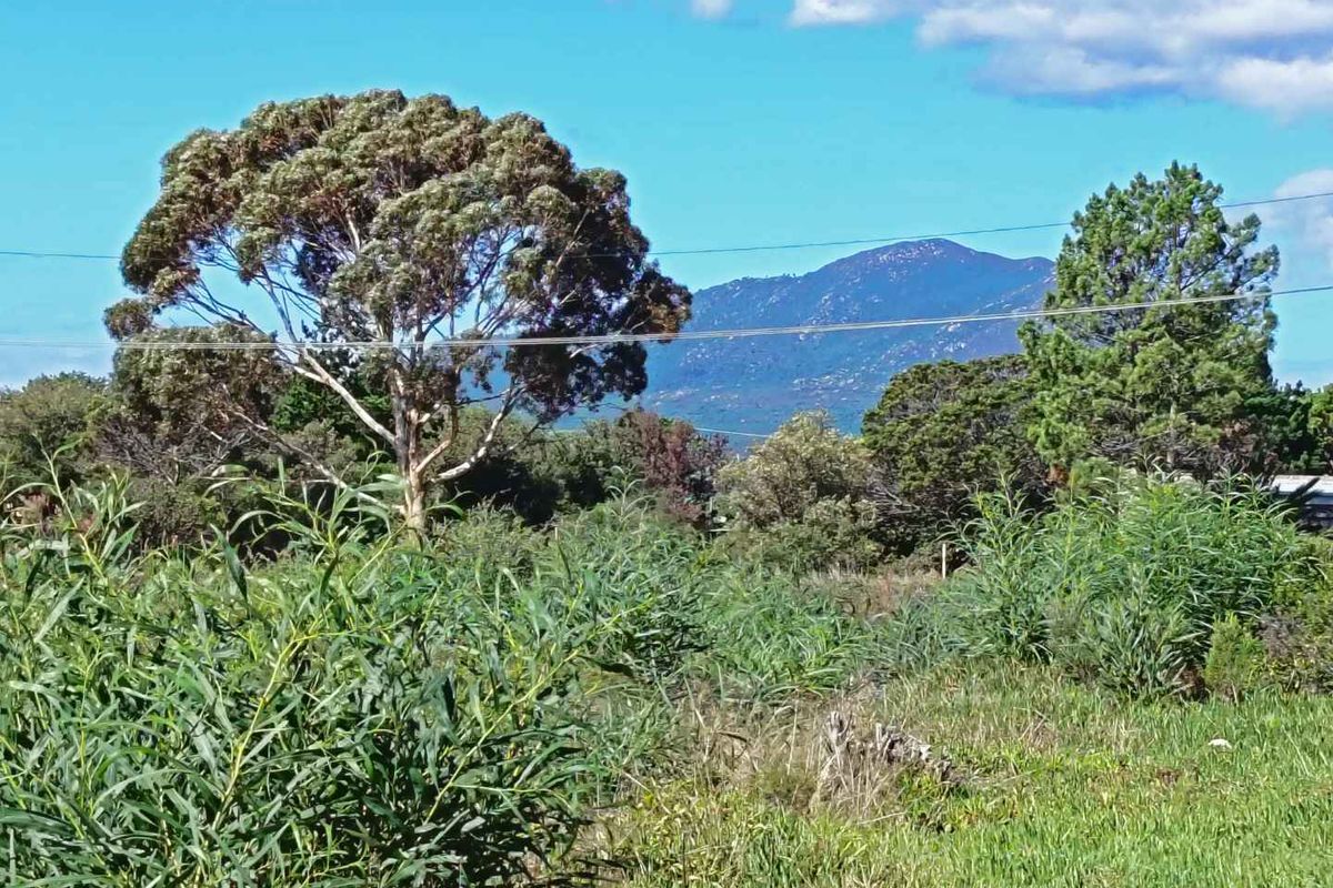 Where Mountains Meet Magnificent Sunsets - Photo 5