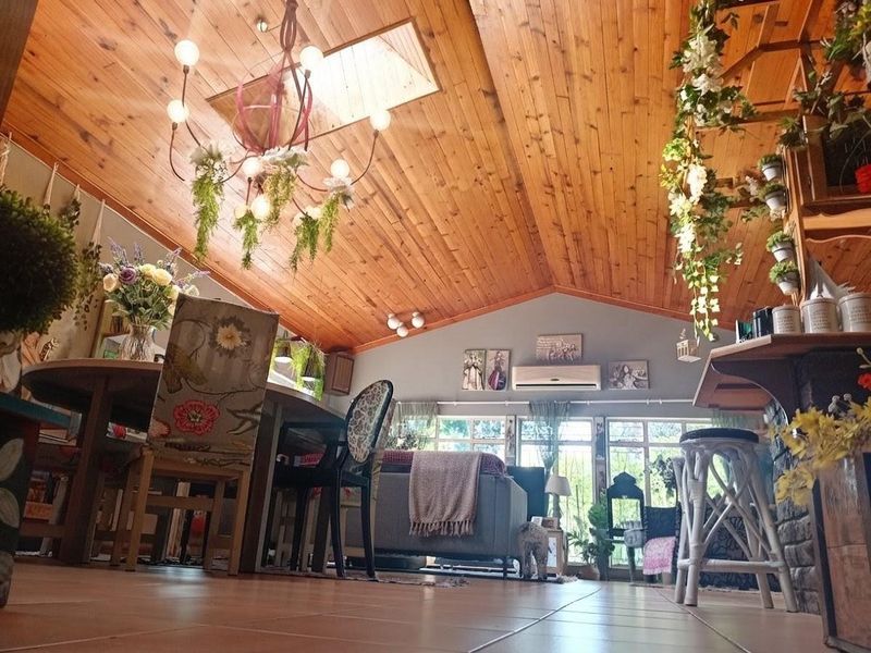 Spacious open-plan living area featuring a high timber-lined vaulted ceiling with a skylight, tiled flooring, and a split-system air conditioner.