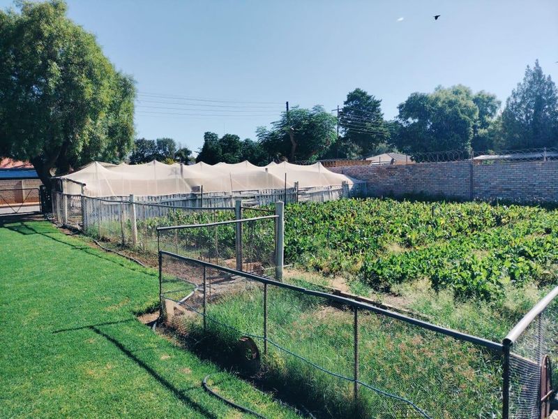 HOUSE IN EXCELLENT CONDITION. BEAUTIFUL GARDEN. BOREHOLE. NO REPAIRS NEEDED. - Photo 4