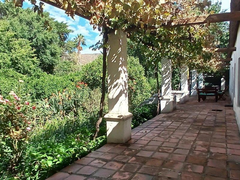 Stunning Cape Dutch Farm for Sale in Clanwilliam – A Picturesque Retreat with Luxurious Accommodations and Prime Agricultural Potential - Photo 10