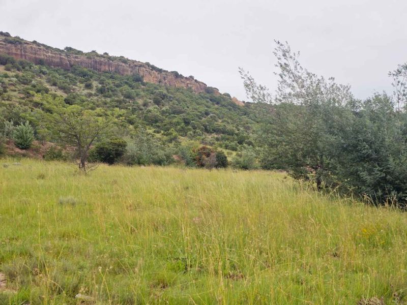 **Prime Vacant Land Opportunity: 1180 sqm at the Mountain's Foot** - Photo 3