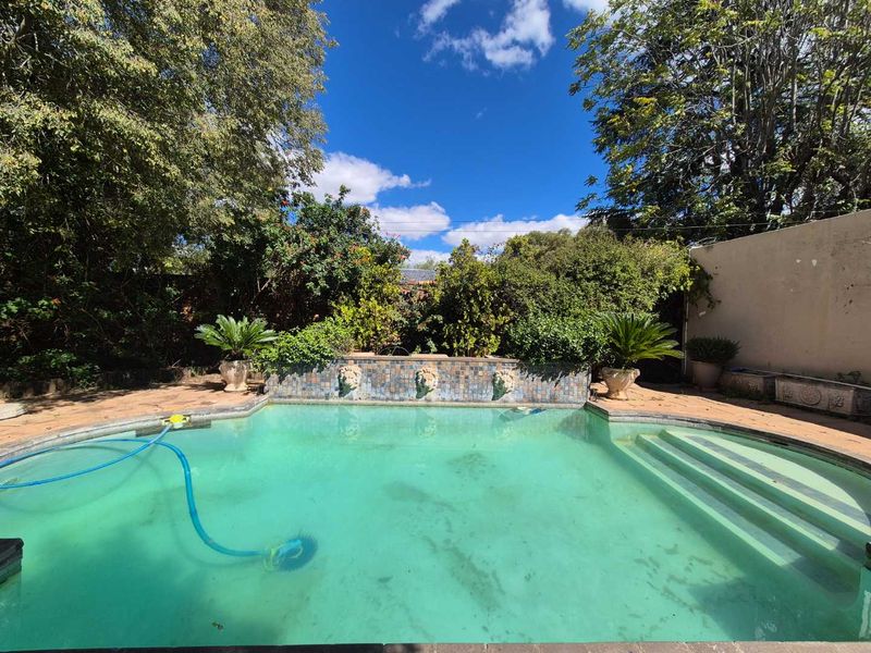 GRANDEUR OLD DAME NEEDS A FRESH START - Photo 5