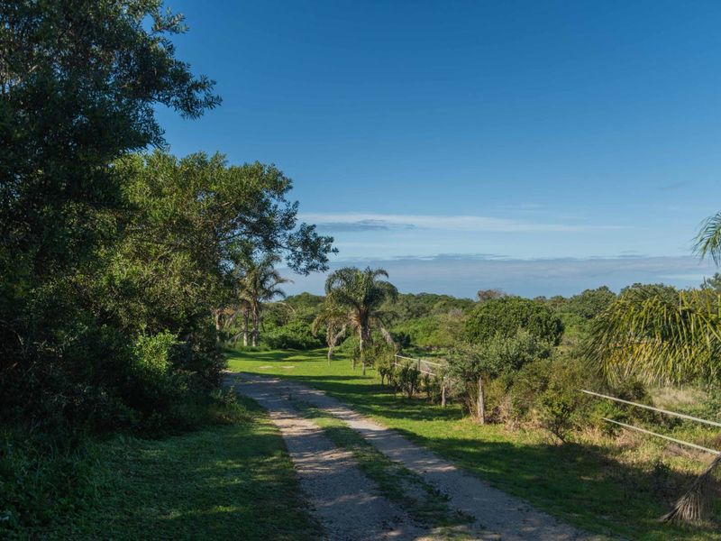 A scenic view of a lush, green garden area featuring a gravel driveway and natural landscape surroundings.