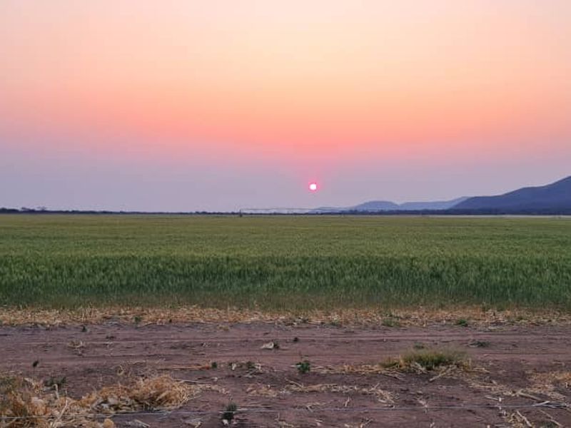 A scenic view of expansive agricultural farmland at sunset, featuring a vast green crop field and distant mountain ranges.