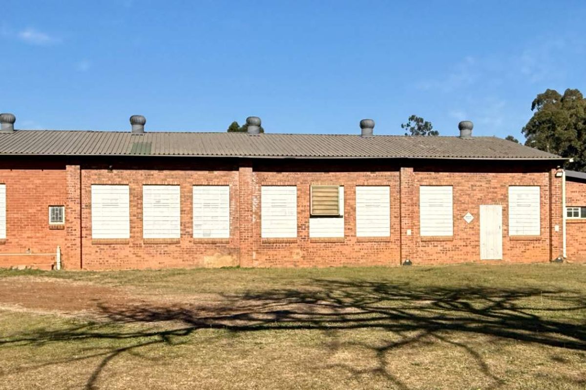 Rear view of a single-story industrial brick building featuring a corrugated metal roof, roof ventilation units, and multiple boarded-up window openings.
