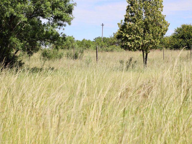 Vacant Smallholding for Sale 6.85 hectares of Opportunity - Photo 6