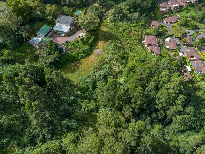 Developmental Opportunities or a Dream Home - Photo 8