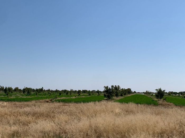 Property #2562394, Farm For Sale in Otjiwarongo Central