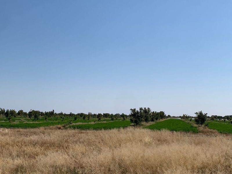A wide-angle view of the farm property featuring cultivated orchard rows and open agricultural land under a clear blue sky.