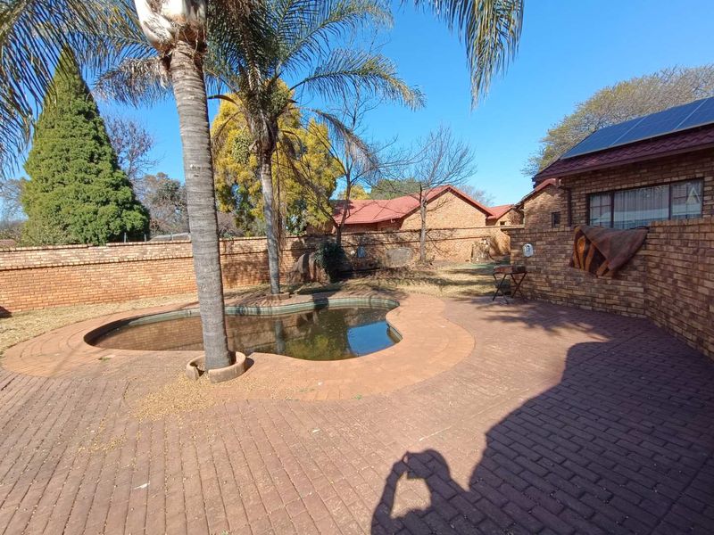 Outdoor pool area featuring brick paving, a boundary wall, and a swimming pool requiring maintenance, set within a private garden space.