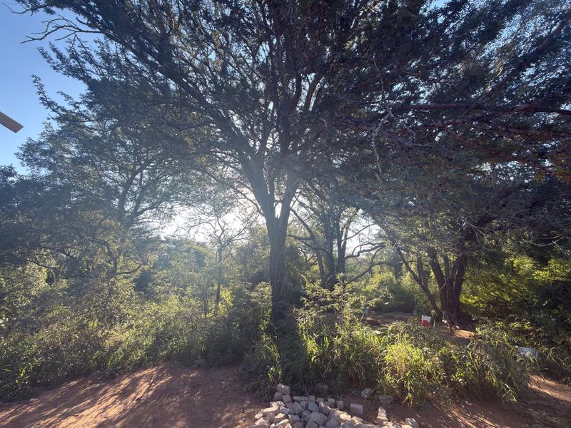 New, 4-Bedroom Family Home – under construction in Blyde Wildlife Estate - Photo 6