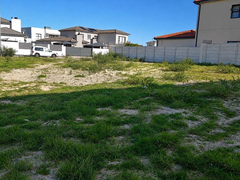 Prime Corner Plot with Approved Plans in Parklands North - Photo 5