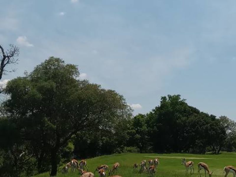 vacant land - Photo 9