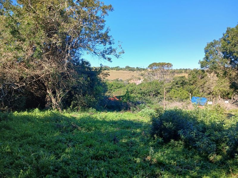 Your Quiet Corner of Bathurst, where Farmland Meets Freedom. - Photo 7