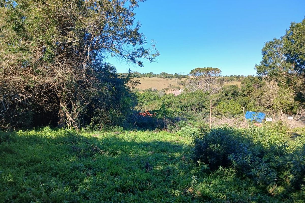 A view of a natural, undeveloped residential plot featuring mature trees, dense vegetation, and perimeter wire fencing.