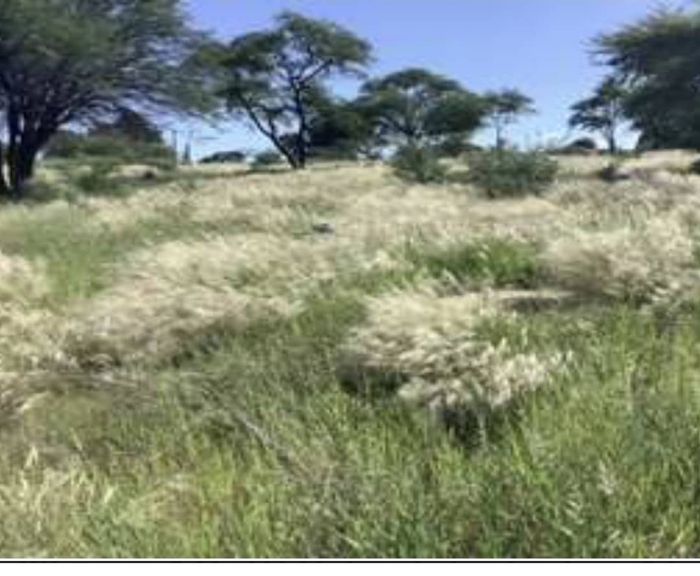 Property #2464482, Vacant Land Residential For Sale in Okahandja Central