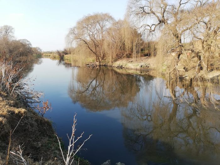 Property #2518494, Farm For Sale in Witkop