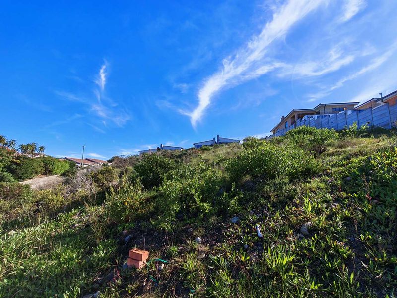 A view of a sloped, undeveloped residential plot featuring natural vegetation and surrounding neighborhood homes.